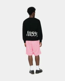 Flash Sale 👍 Stussy BIG BASIC MESH SHORT ❤️ -Stussy Sales 112285 PINK 11