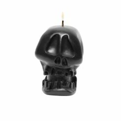 Top 10 🔔 Stussy SKULL CANDLE 🌟 -Stussy Sales 138835 NEOP 1 1